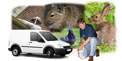 Kirk Sandall local van